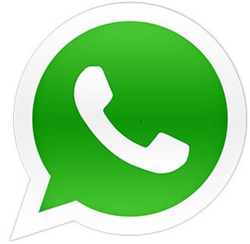 Packforce jetzt auch über WhatsApp erreichbar